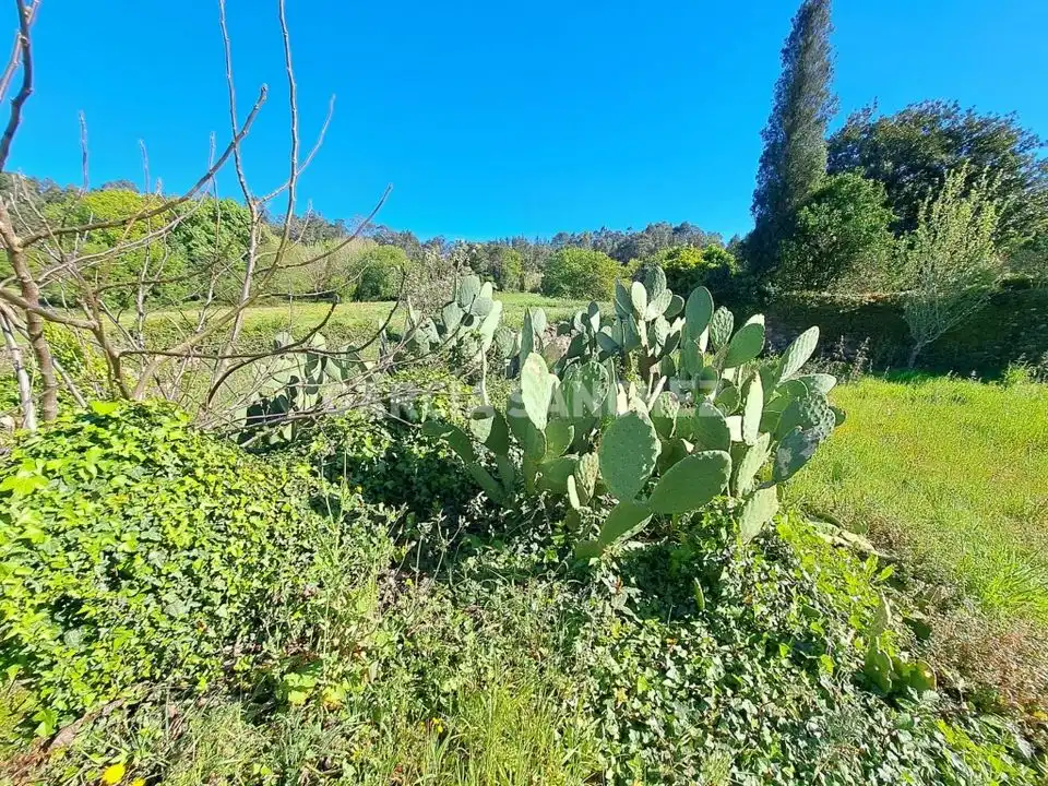 Maison avec jardin à vendre à Aldea Romarís 6, imagen 18