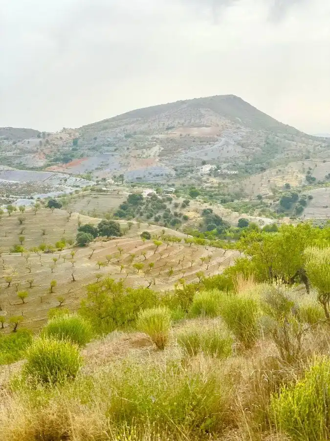 Rural land for sale in Puerto Lumbreras, imagen 17