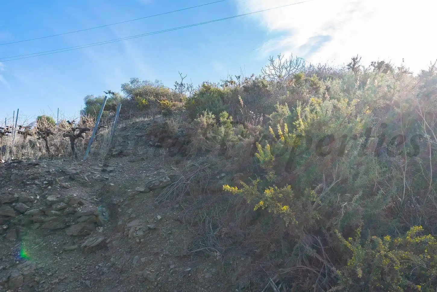 Rustikales Grundstück zum Verkauf in Torrox Pueblo, imagen 5