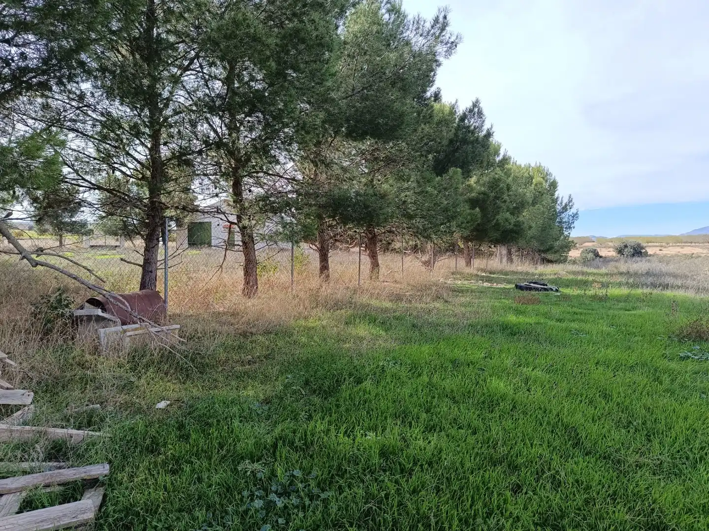 Terreno rustico in vendita a N/A, imagen 4