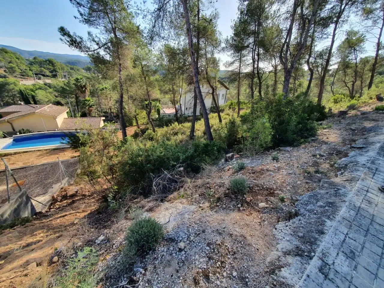 Terrain rustique à vendre à Calle via lactea