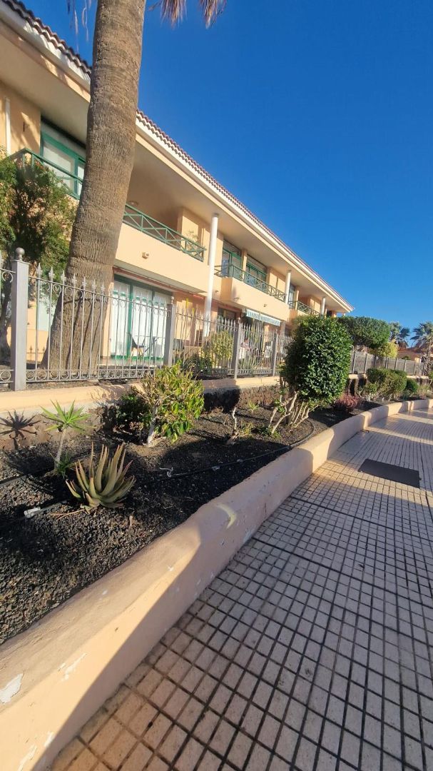 Exterior view of Flat for sale in San Miguel de Abona  with Terrace, Furnished and Oven