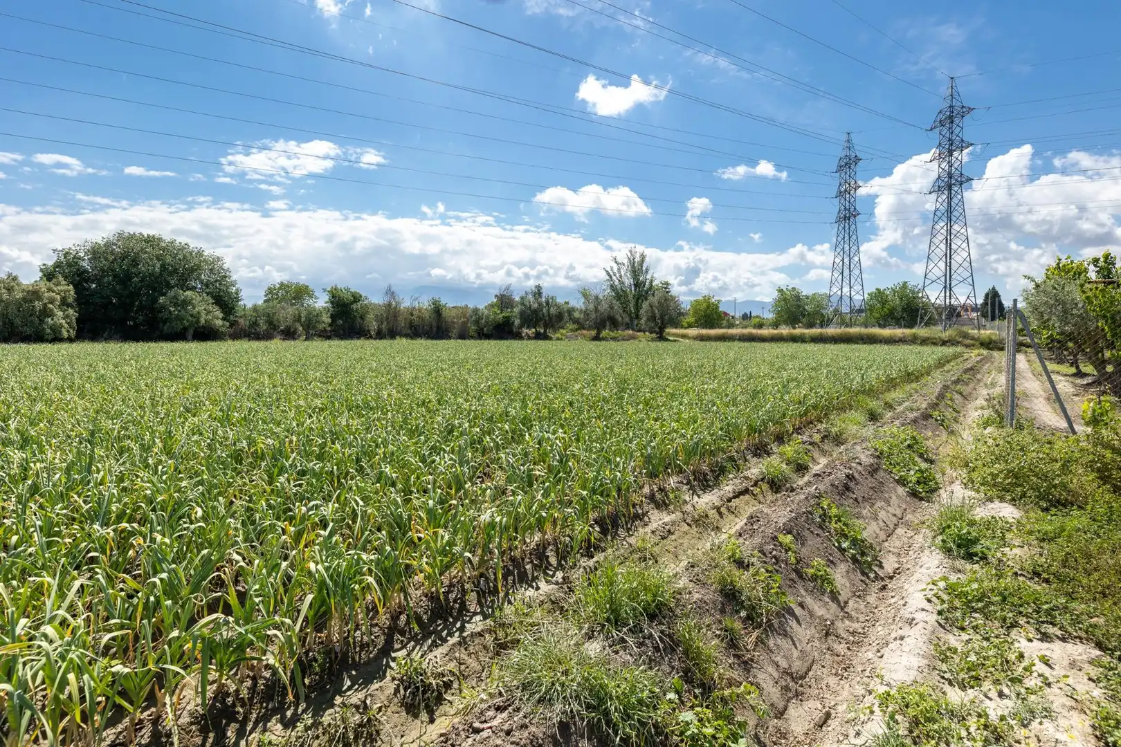 Terreni e lotti in vendita a Ramal del Río, imagen 9