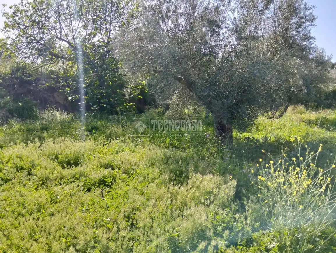 Rural land for sale in Dúrcal, imagen 14