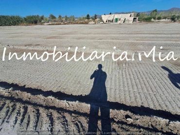 Terreni e lotti in vendita a Pedanías Centro