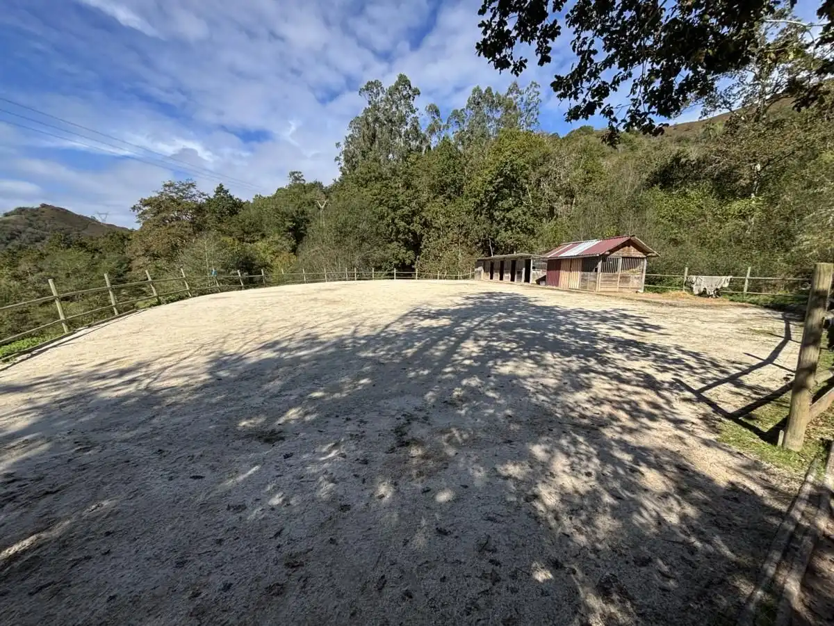 Vista exterior de Casa o chalet en venta en Cabrales, Asturias