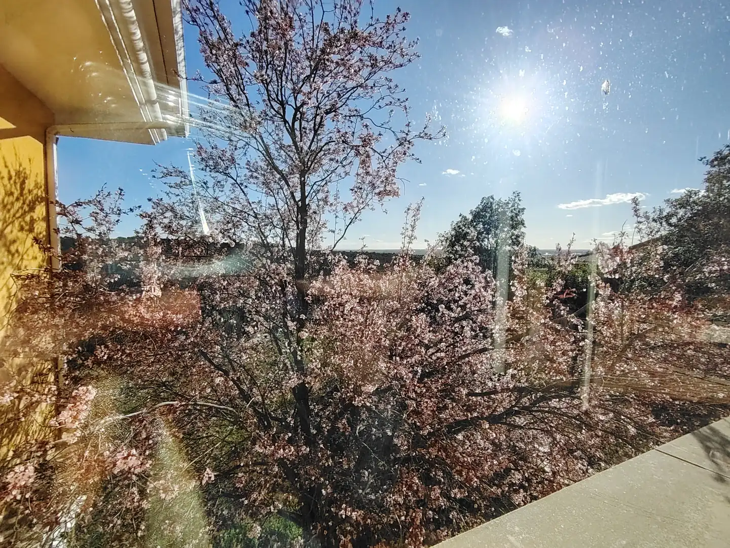 Villa avec terrasse à vendre à Batres, imagen 37