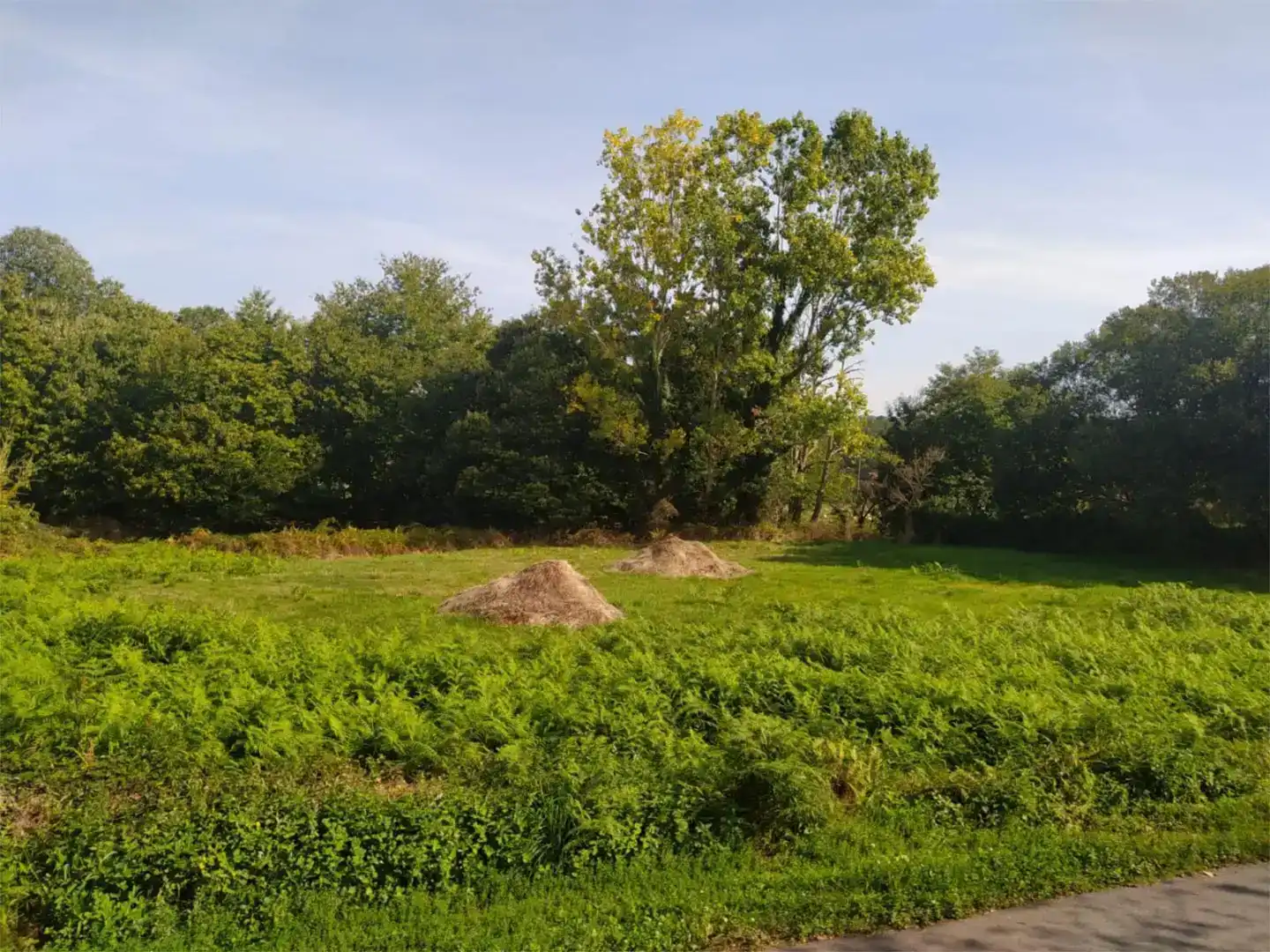 Land for sale in Sober