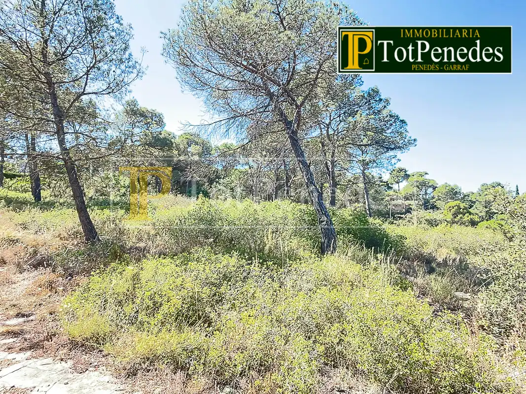 Terreny residencial en venda a Carrer Tarragona, imagen 10