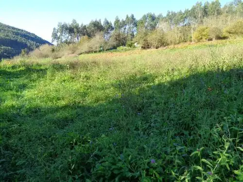 Terreno rustico in vendita a Parroquias suroccidentales, imagen 12