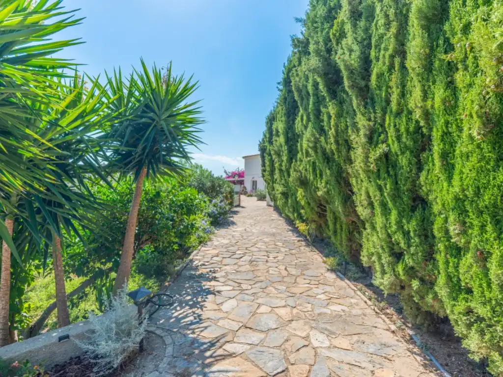 House with pool for sale in Calle Baix Casetes, imagen 34