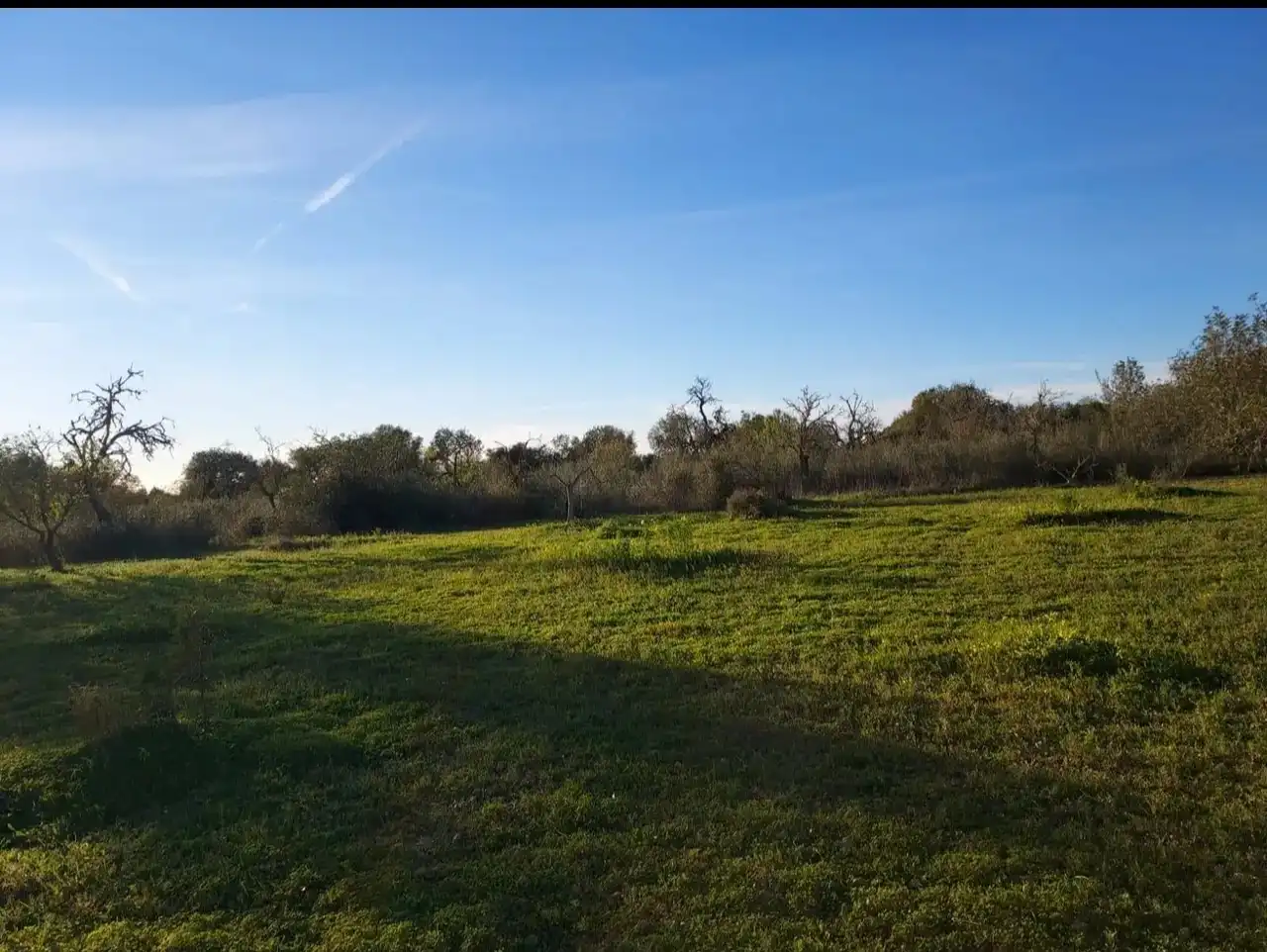 Terreny en venda en Llucmajor