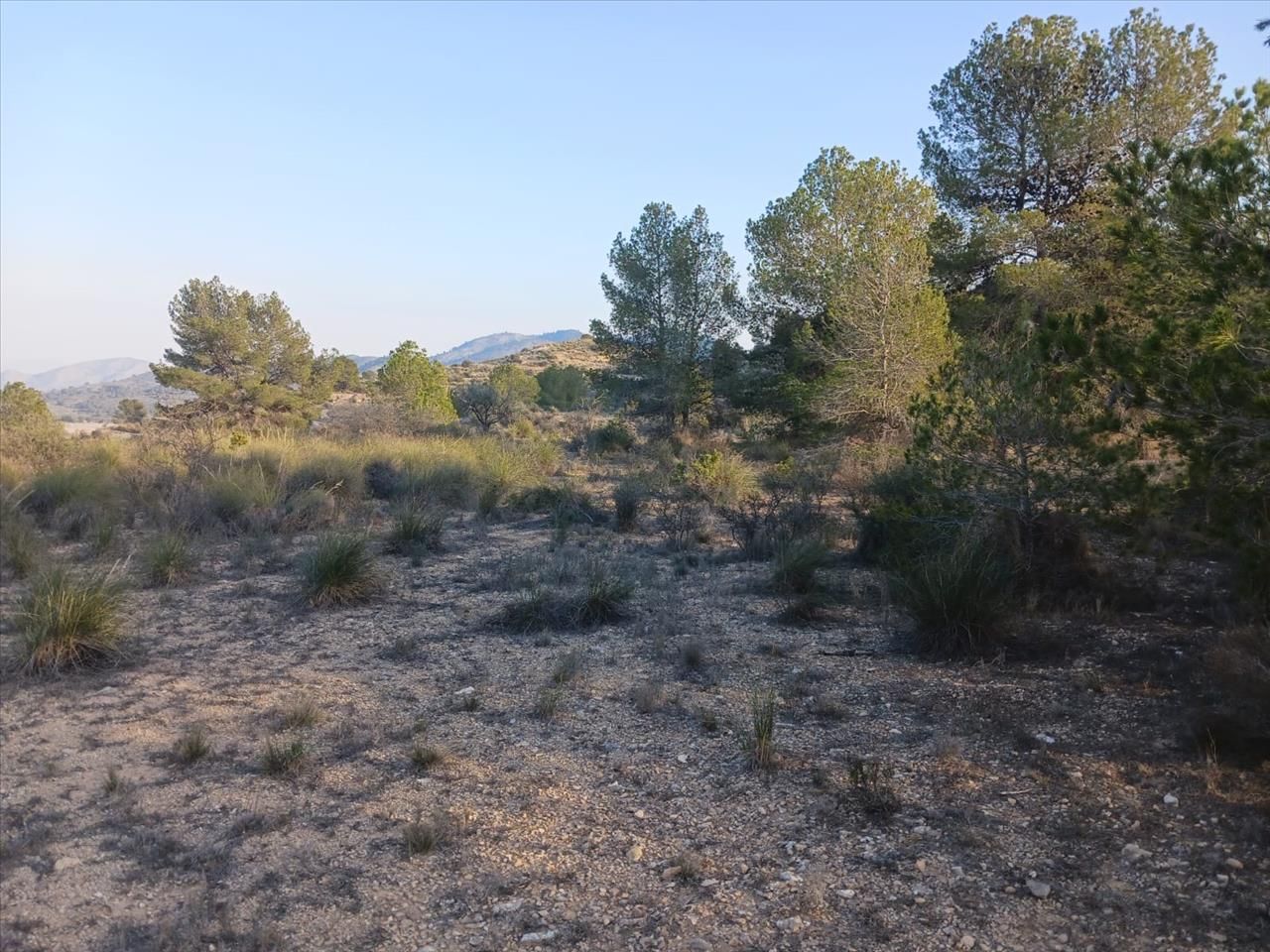 Grundstücke zum verkauf in Monóvar  / Monòver