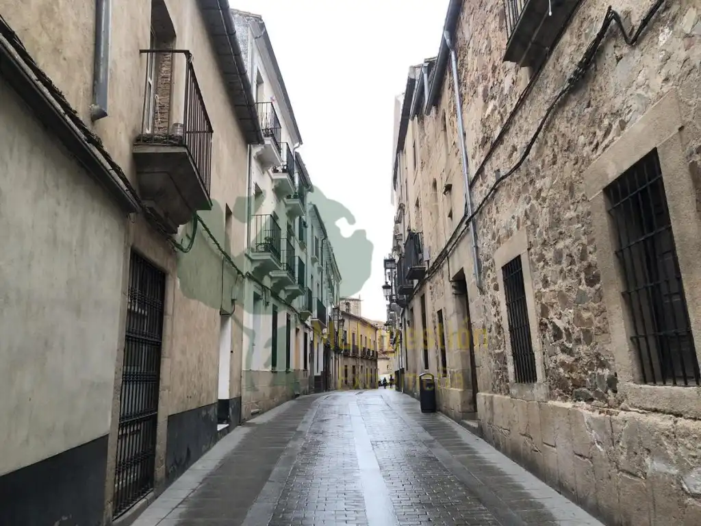 Immobles singulars en venda a Calle Luis Sergio Sanchez, imagen 2