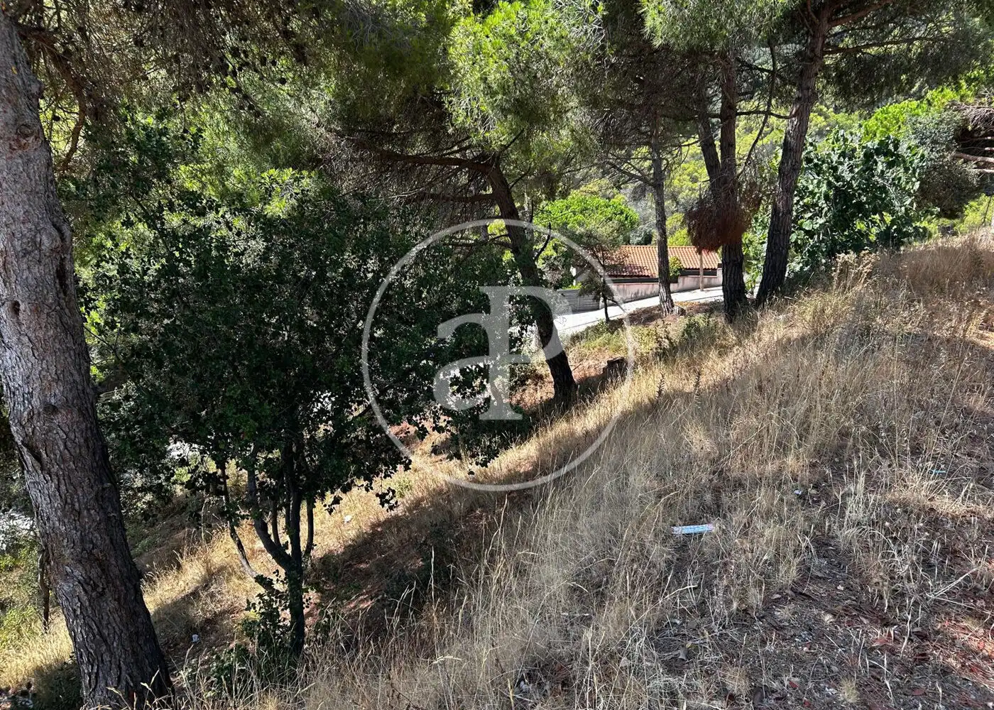 Terreny residencial en venda a Carrer Segarra, imagen 25