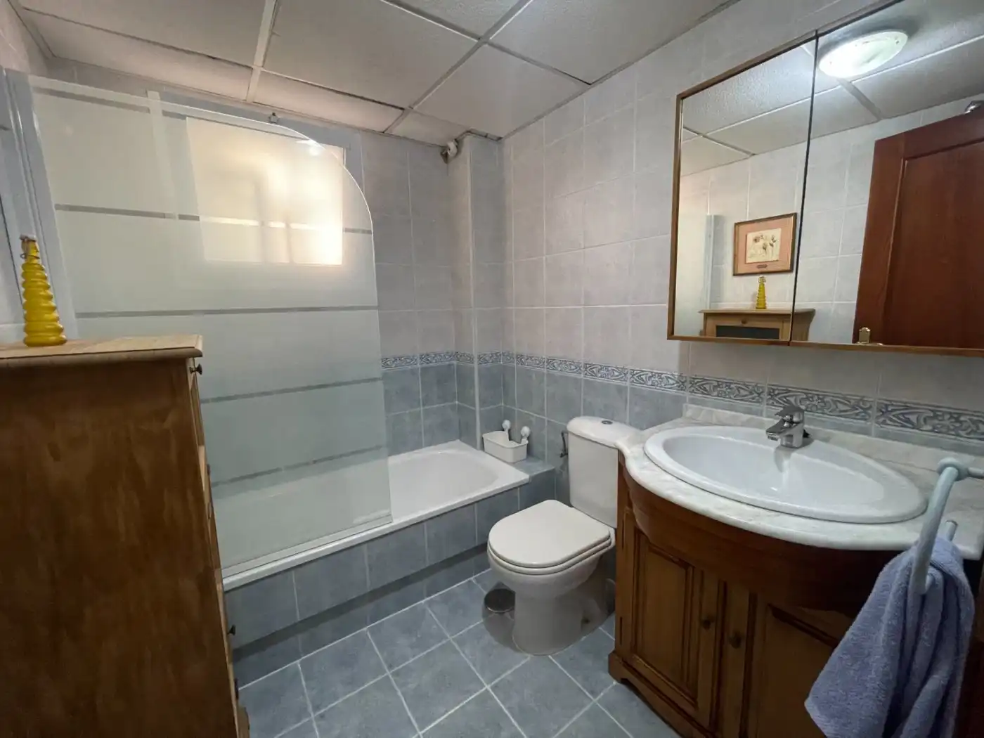Bathroom of Apartments for rent in Málaga  with Terrace, Furnished and Community pool
