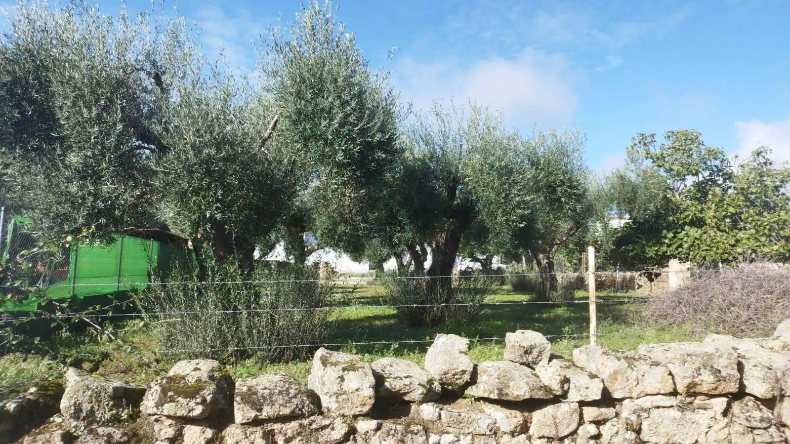 Terreni e lotti in vendita a Aldea del Cano, imagen 5
