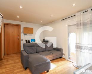 Sala d'estar de Planta baixa en venda en Sant Boi de Llobregat amb Forn i Balcó