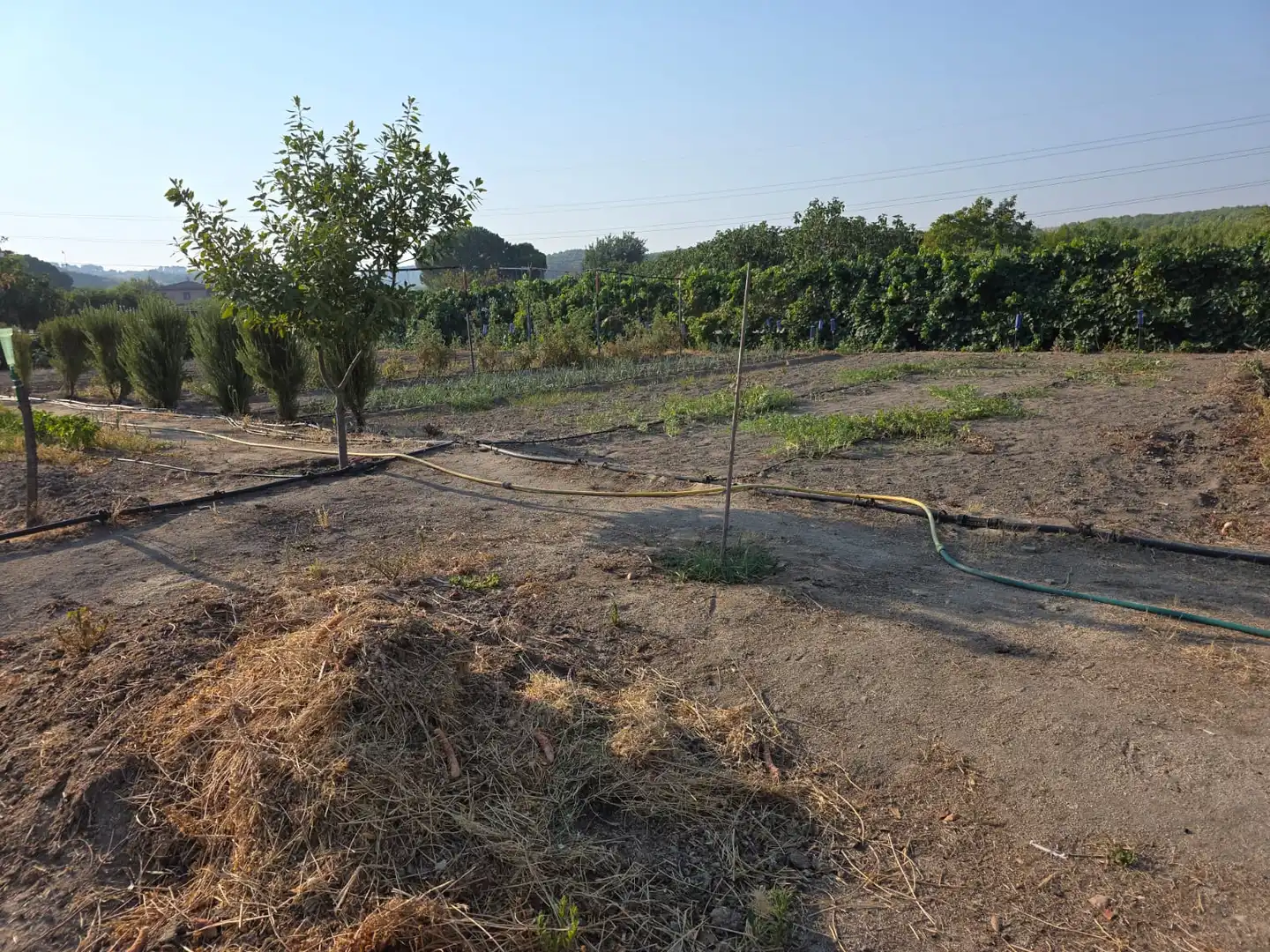 Finca rústica en venda en Talavera de la Reina amb Jardí privat