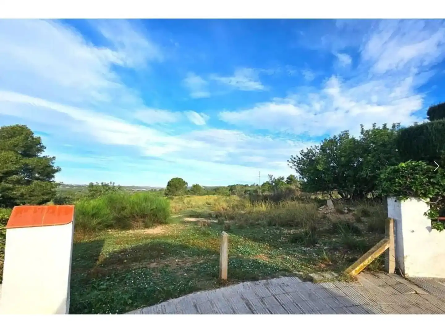 Rural land for sale in Calle de la Fonolleda