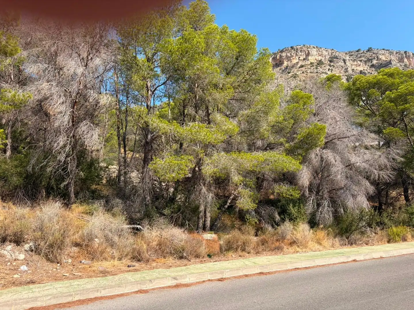 Residential land for sale in Mascarat, imagen 4