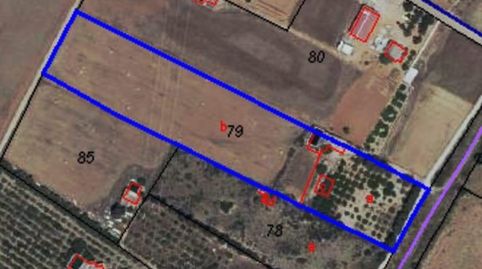 Foto 3 de Finca rústica en venta en Muro, Illes Balears