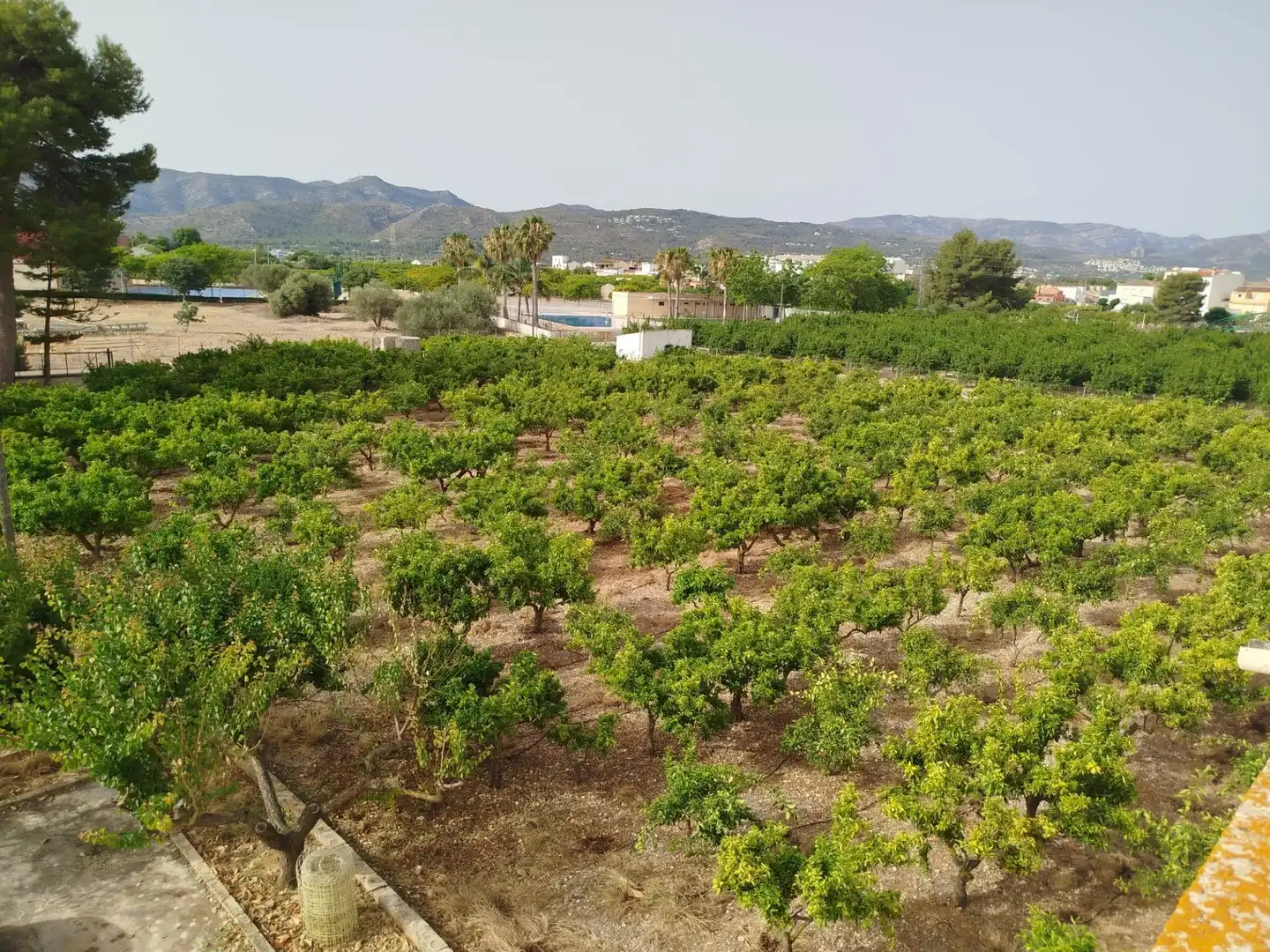 Country homes for sale in Ondara  with Private garden