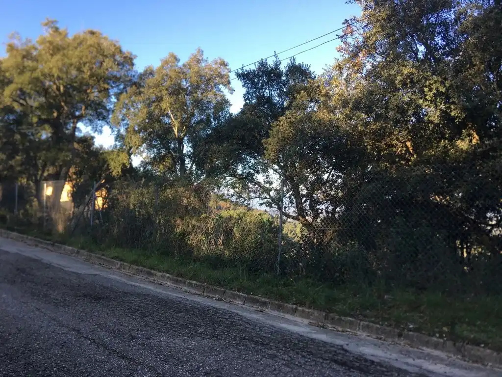 Oficina en venda en Maçanet de la Selva