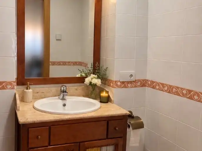 Baño de Casa o chalet en venta en Jardin Lucena