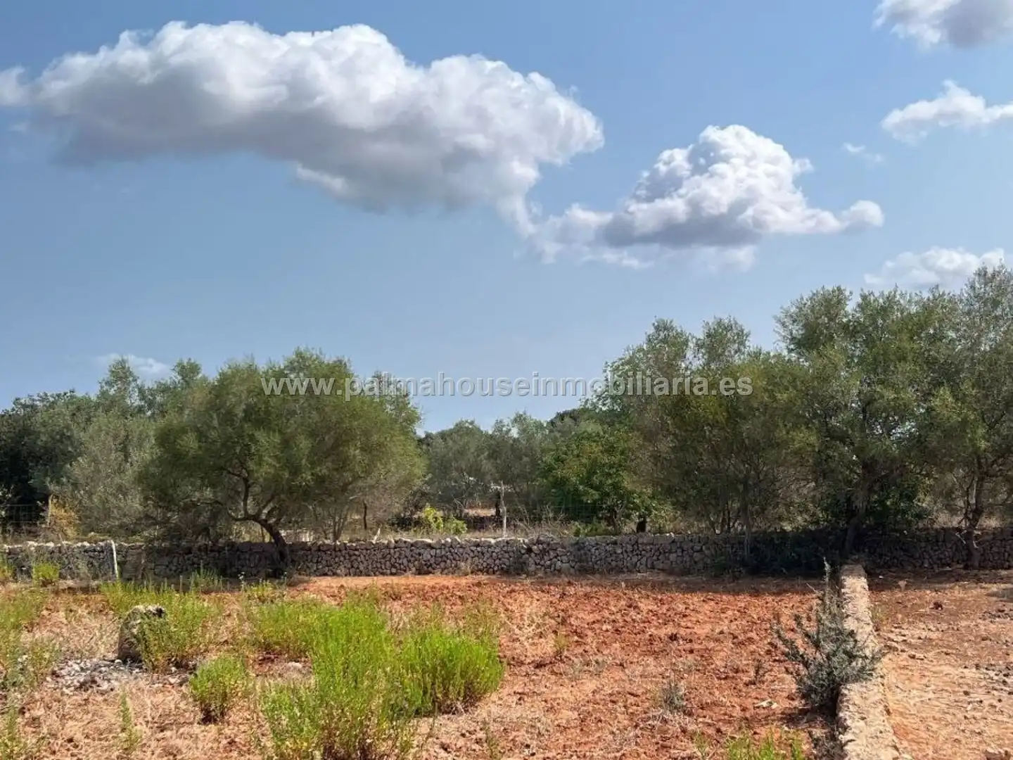 Finca rústica en venta en Llubí con Terraza y Piscina