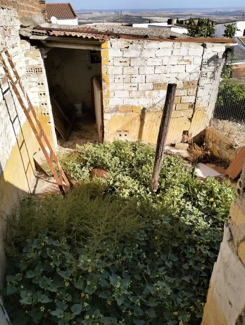 Jardí de Casa o xalet en venda en Montemayor