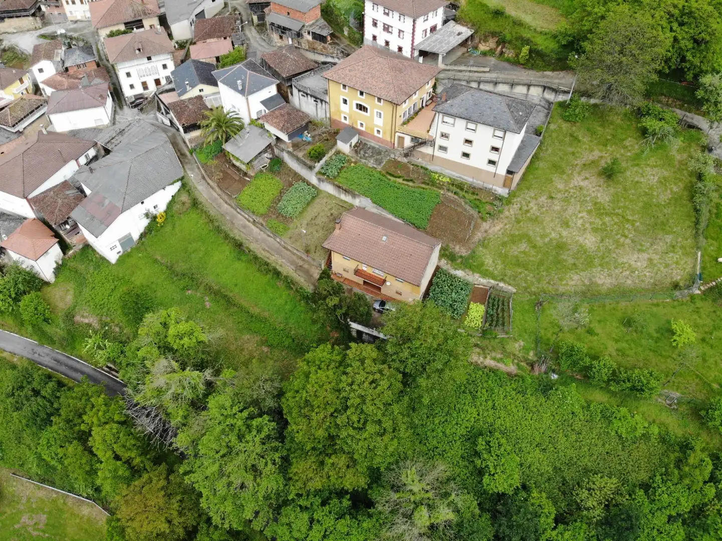 Casa o xalet en venda en Tineo amb Calefacció, Jardí privat i Terrassa