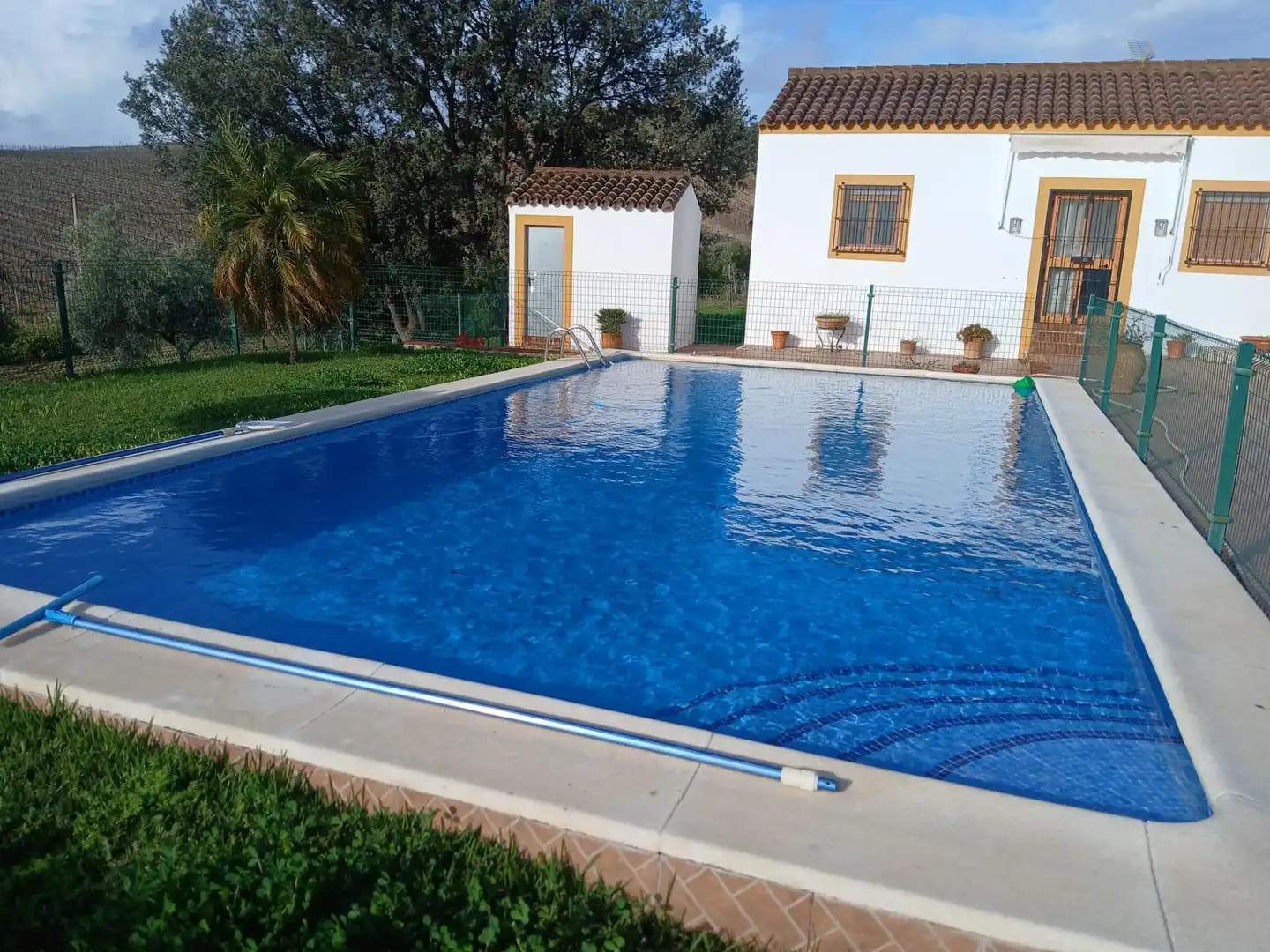 Piscina de Finca rústica en venda en Arcos de la Frontera amb Jardí privat i Piscina comunitària
