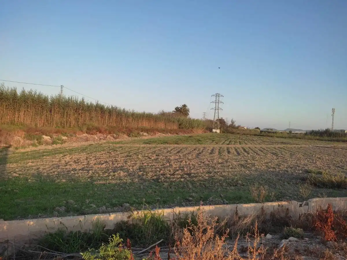 Terreni e lotti in vendita a San Fulgencio, imagen 5
