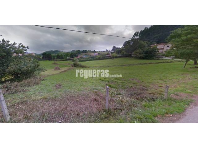 Terreno en Venta en Pillarno