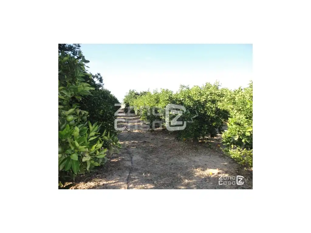 Chalet en venta en Albalat de la Ribera, imagen 8