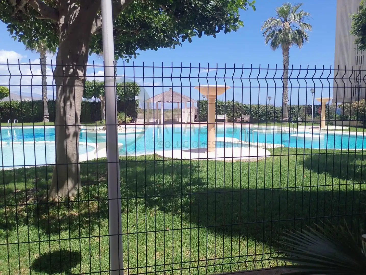 Schwimmbecken von Erdgeschoss zur Miete in El Campello mit Klimaanlage, Privatgarten und Möbliert