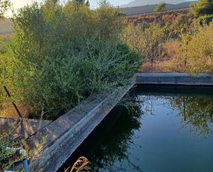 Swimming pool of Land for sale in Estepona