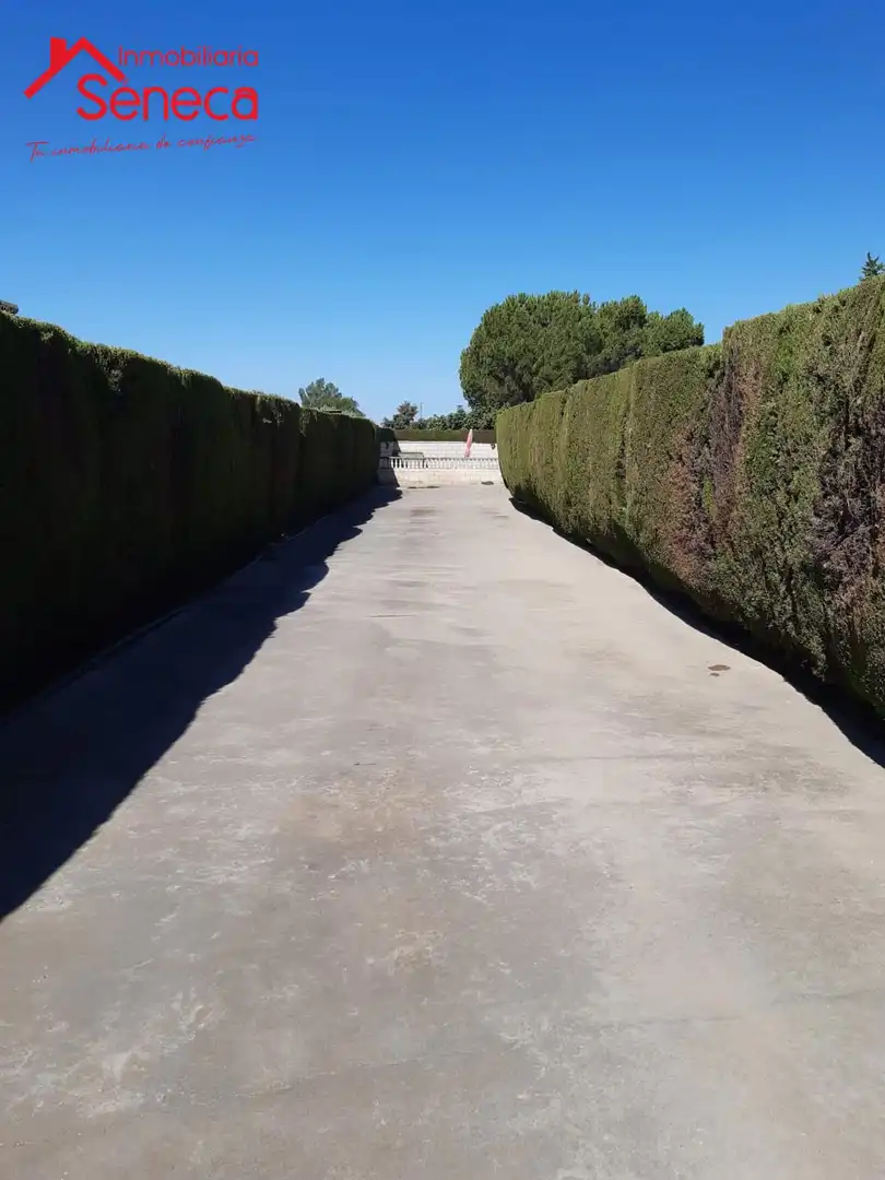 Grundstücke und Bauplätze zum Verkauf in PALMA DEL RIO KM 8, PARCELACIÓN LA GORGOJA