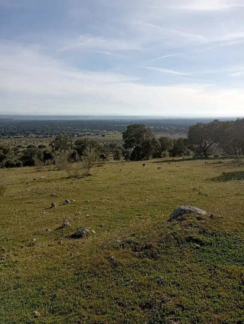 Terreni e lotti in vendita a San Román de los Montes, imagen 10