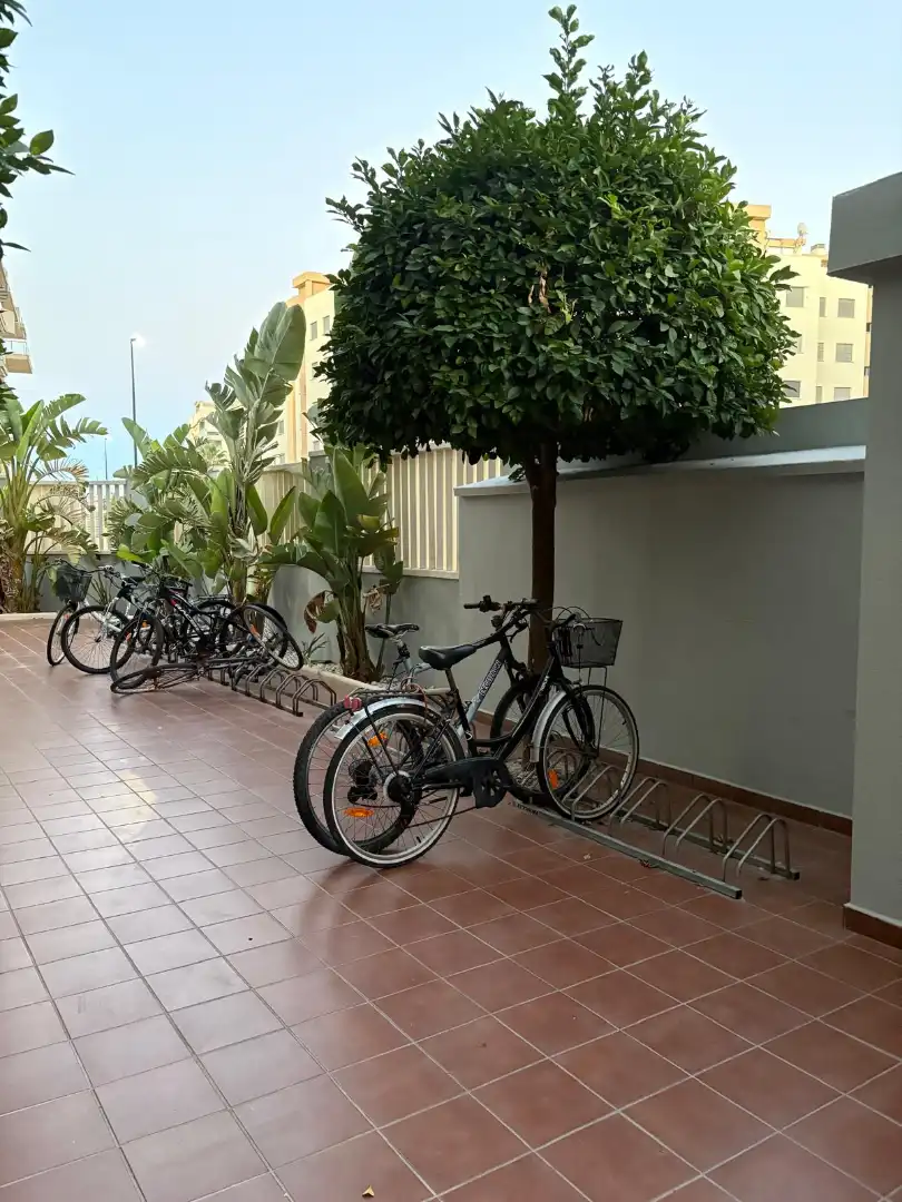Ground floor with pool to rent in Carrer Garbí 26, imagen 15