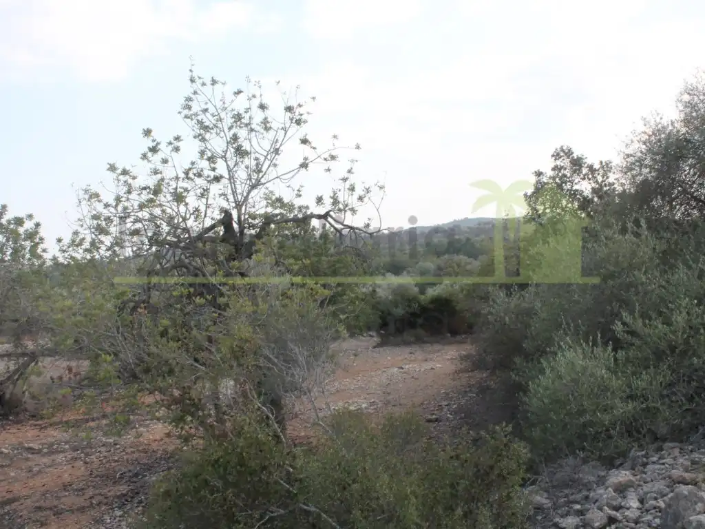 Rural land for sale in Poligono Poligono 50, imagen 10