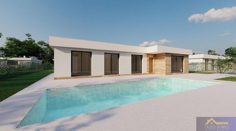 CalasparraBungalow, imatge 4