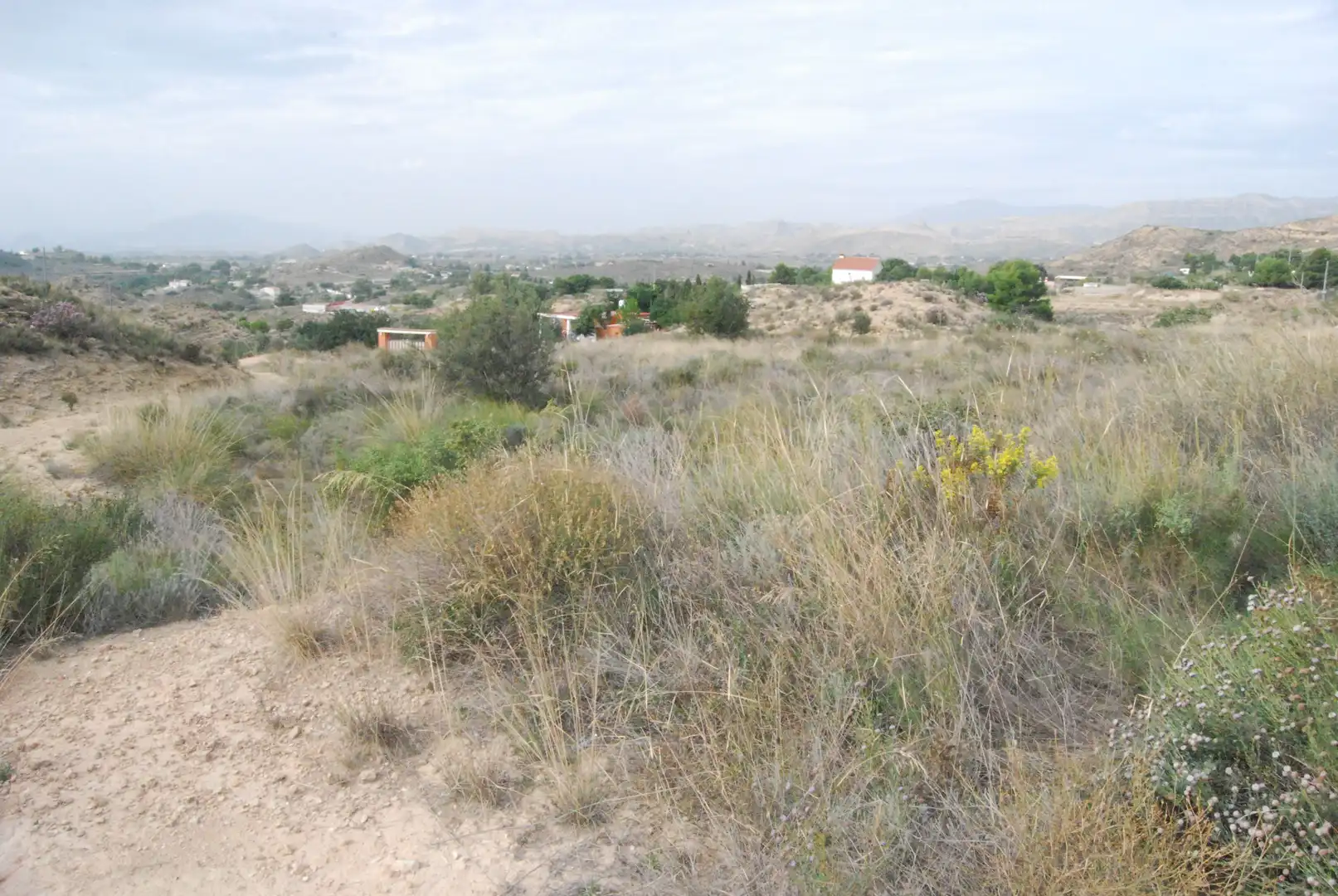 Terreno rustico in vendita a Valle del Sol, imagen 7