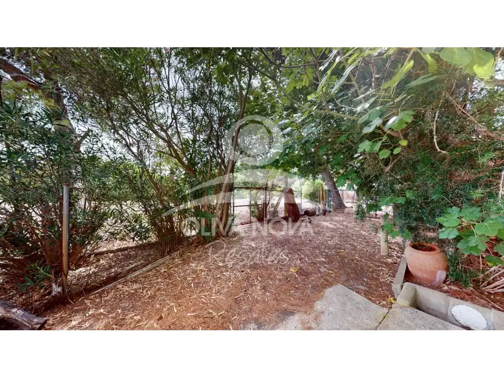 Maison rustique avec piscine à vendre à Partida Santa Fe, imagen 50