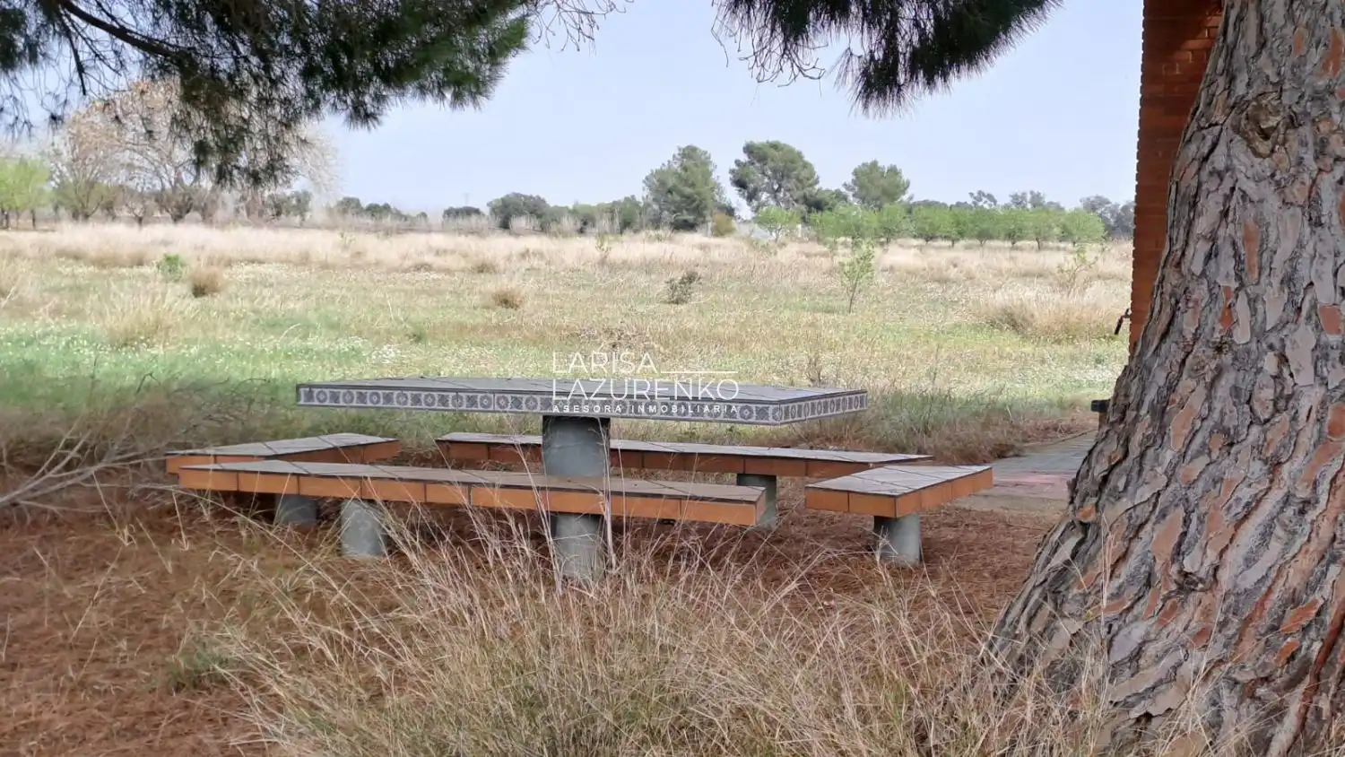 Jardín de Finca rústica en venta en Constantí