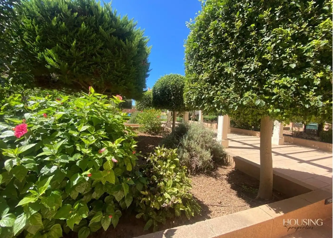 Baixos amb jardí de lloguer a Maioris-Puig de Ros, imagen 4