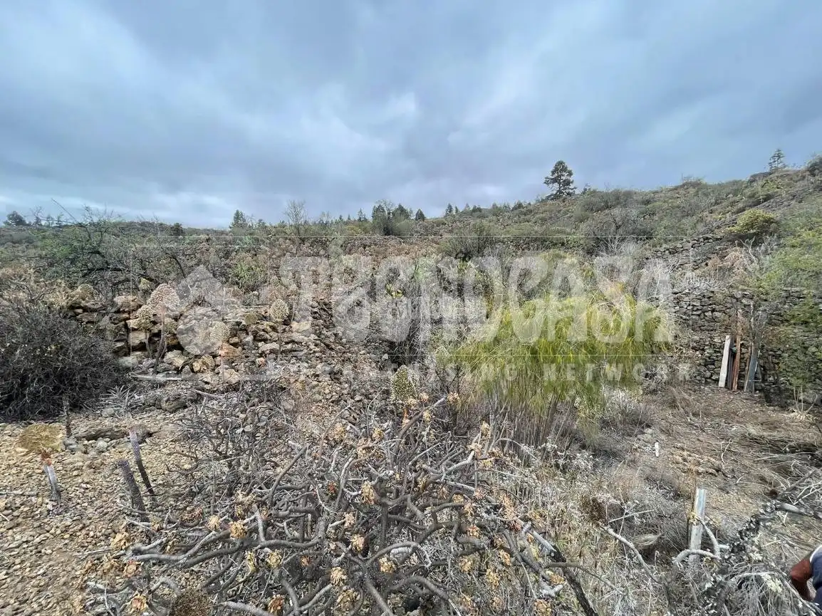 Terreno rústico en venta en Chío, imagen 13