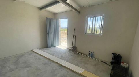 En Venta finca de oliveras con Caseta de Aperos en Cehegin (Murcia)., immagine 4
