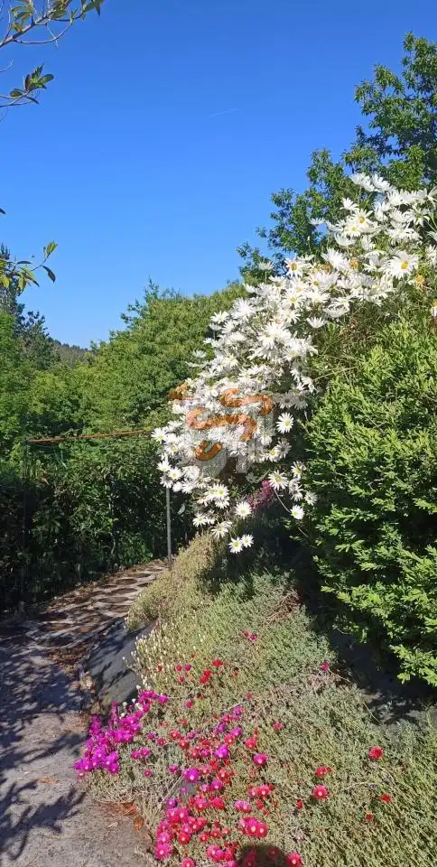 Terreni e lotti in vendita a San Sadurniño, imagen 38